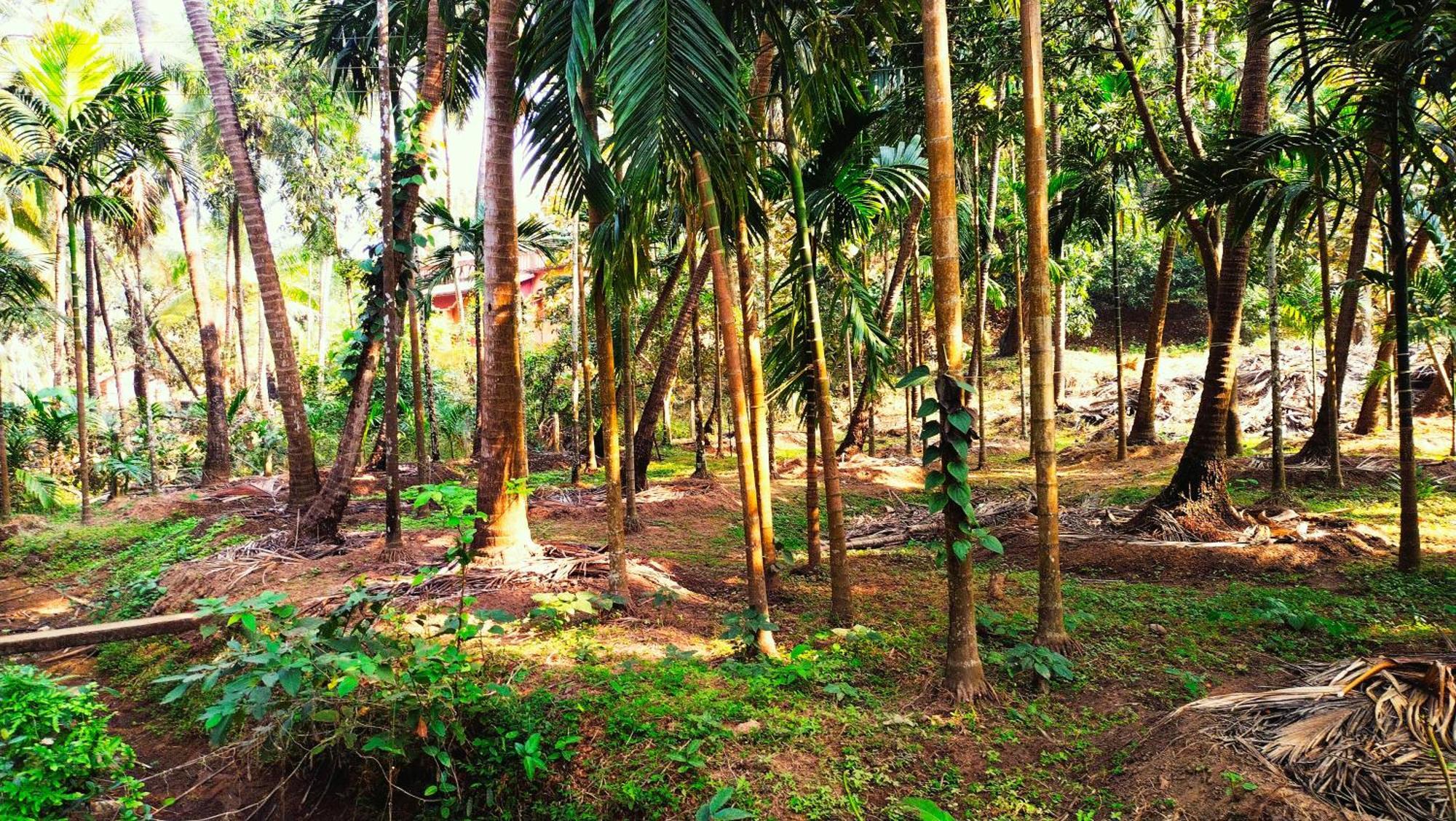 Samant सहारा Malvan
